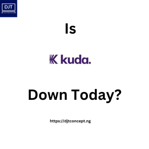 Read more about the article IS KUDA DOWN TODAY ?